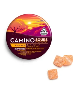Camino Orchard Peach 10:10 CBD Sleep Gummies | Balanced Sleep Edibles