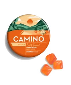 Camino Freshly Squeezed CBG Relief Gummies | Buy Camino Relief Edibles