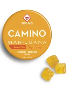 Camino Mango Serenity High Dose Gummies | 30mg CBD Balance Edibles