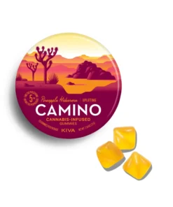 Camino Pineapple Habanero Uplifting Gummies | Buy Camino Uplifting Edibles