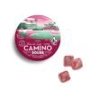 Camino Sours Watermelon 5mg THC Spritz | Refreshing Edibles