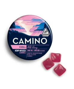 Camino Wild Berry Chill Gummies | Buy Camino Chill Edibles