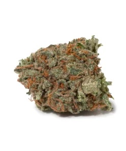 Cherry Mints (AA+/Popcorn) | Sweet & Minty Hybrid | Weed Store Canada