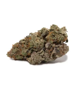Haze (AAAA+) | Legendary Sativa Classic | Weed Store Canada