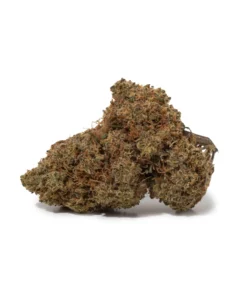 Alien OG (AAA+) Premium Hybrid Flower | Weed Store Canada