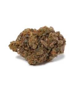 Grape Runtz (AA) | Sweet Grape Candy Hybrid | Weed Store Canada