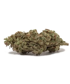 Bubba Kush (AA+) | Classic Indica Heavyweight | Weed Store Canada