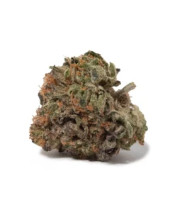 Girl Scout Cookies (AAAA/Popcorn) | Legendary Hybrid | Weed Store Canada